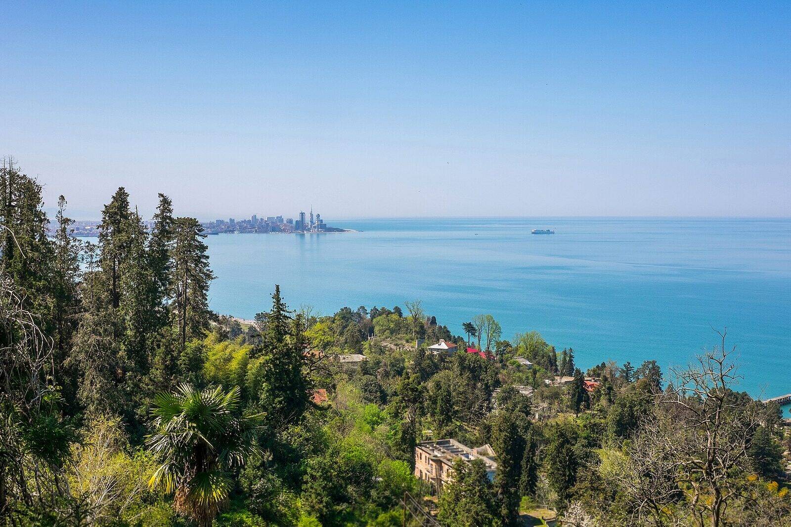 The Black Sea coast of Georgia seen from a wooded hillside, with the Batumi skyline low on the horizon across the water.